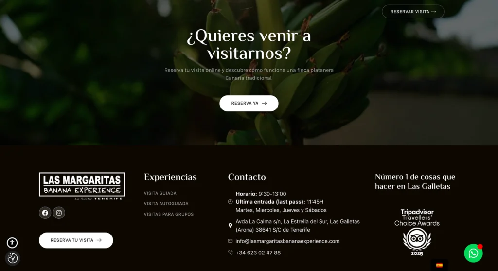BananaExperience01