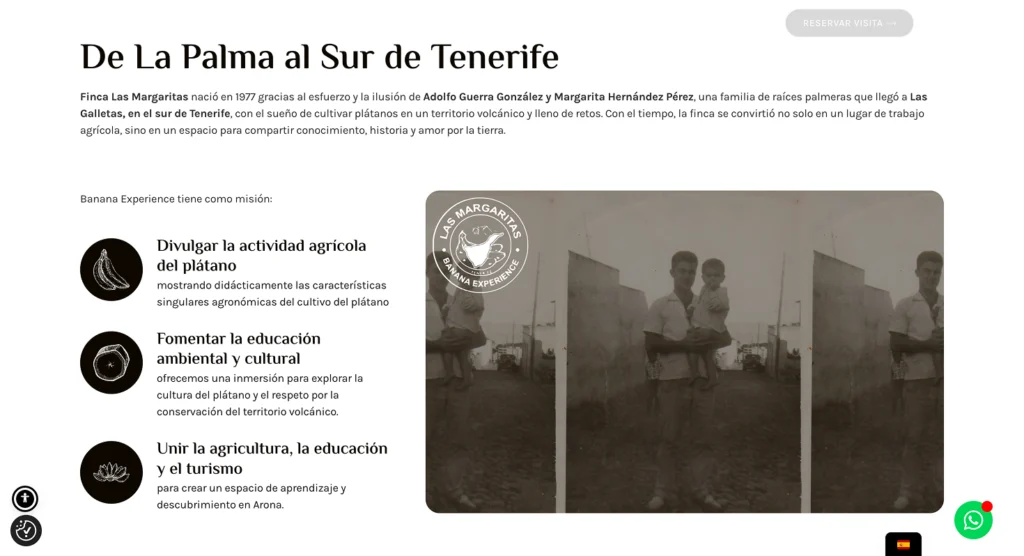 BananaExperience03