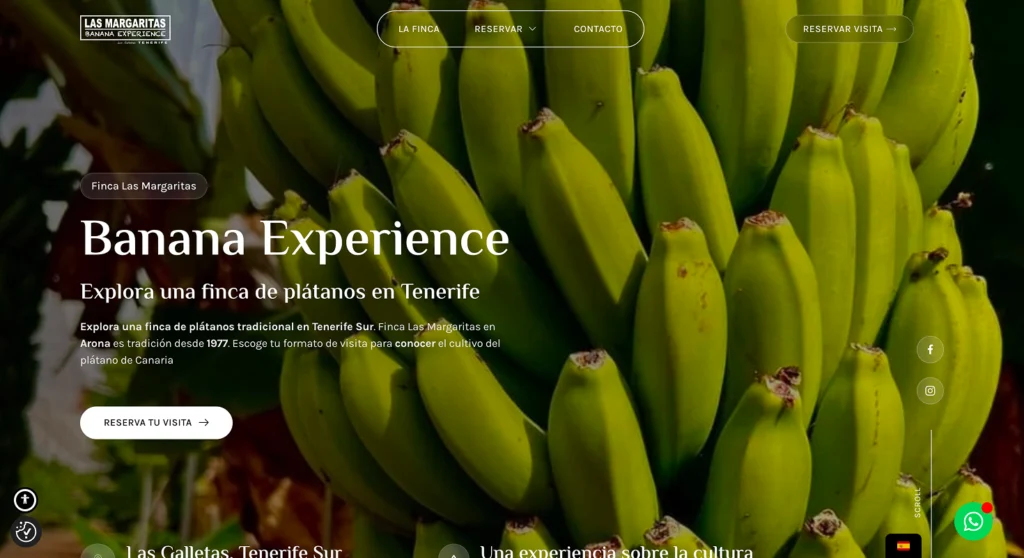 BananaExperience06